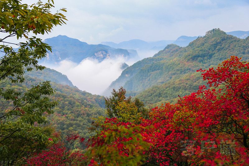 云臺山景區(qū)小程序正式上線